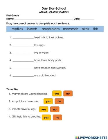 ANIMAL CLASSIFICATION FINAL WORKSHEET