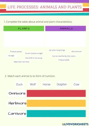 Life processes: animals and plants