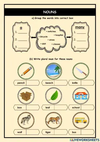 Singular and Plural Nouns
