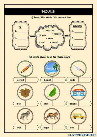 Singular and Plural Nouns