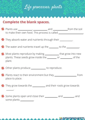 Life processes: plants