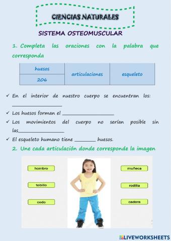 Sistema osteomuscular