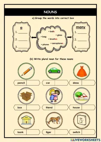 Singular and Plural Nouns