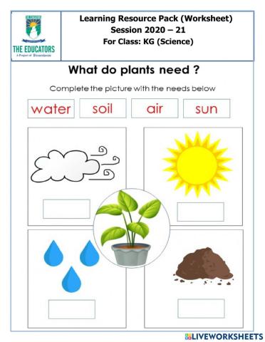 What do need plant