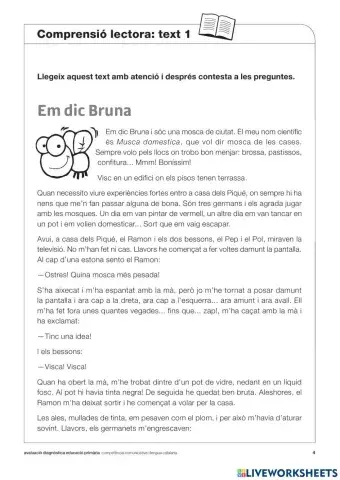 Comprensió lectora proves diagnòstiques 3r primària