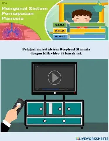Sistem pernapasan manusia