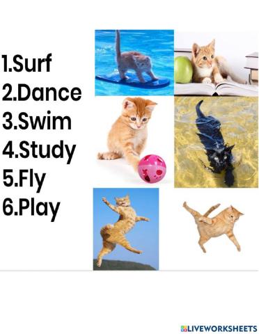 Actions Verbs with Cats