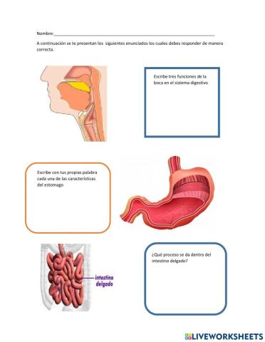 Identificacion de sistemas