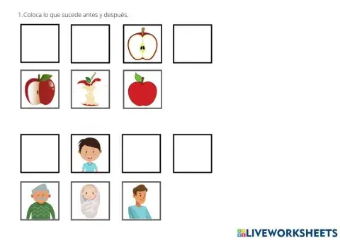 Funciones ejecutivas