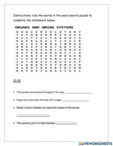 Organs and Body Systems