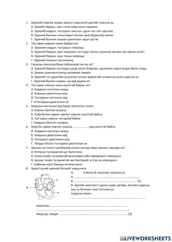 Зүрхний бүтэц