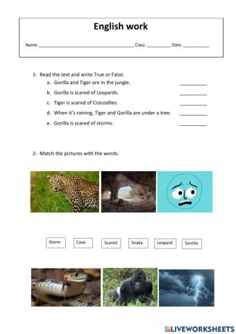 What's the matter, tiger?