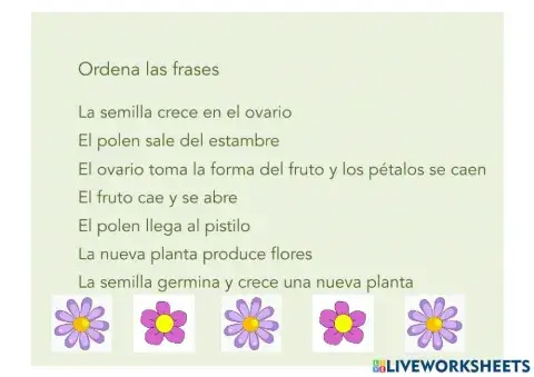 Ordenar las frases de la reproducción de las plantas
