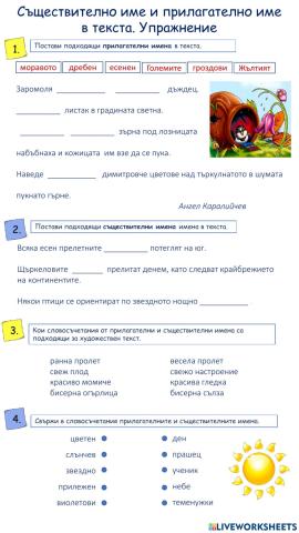 Съществително име и прилагателно име  в текста. Упражнение