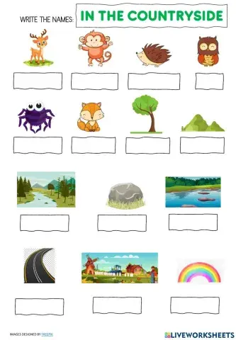 In the countryside vocabulary 3