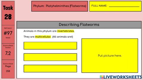 Flatworms and Segmented Worms