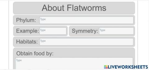 Flatworms worksheet