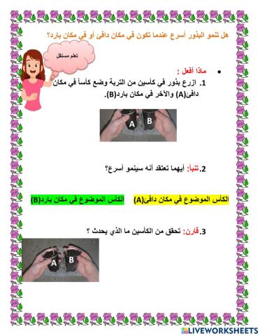 هل تنمو البذور أسرع عندما تكون في مكان دافئ أم في مكان بارد؟