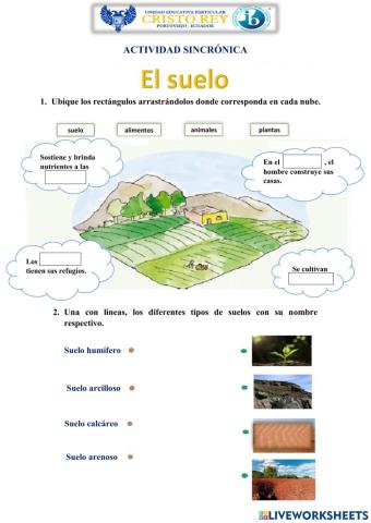 El suelo y su clasificación