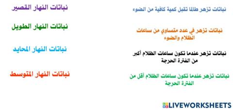 ازهار النباتات