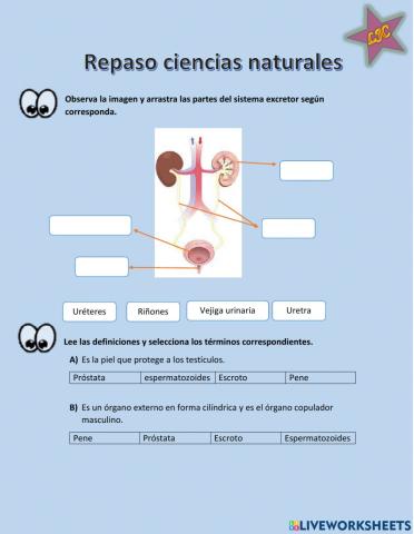 Repaso ciencias naturales