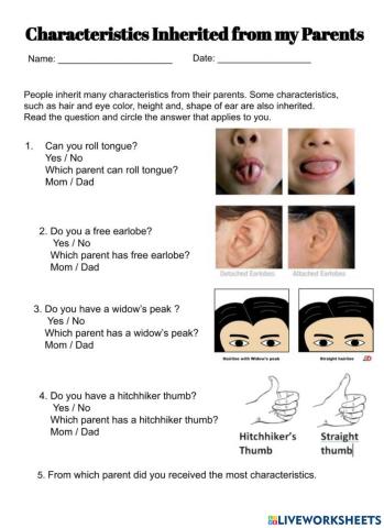 Characteristics inherited from parents