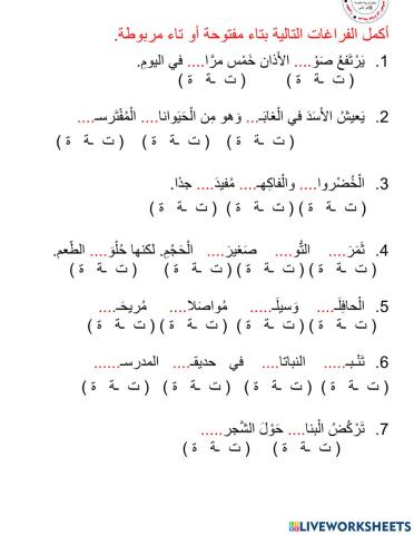 التاء المربوطة والتاء المفتوحة