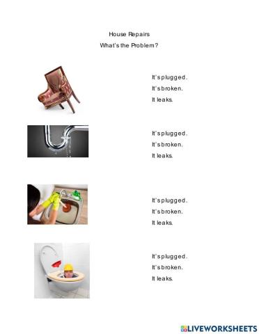 Housing Problems:Leaks, Plugged, Broken