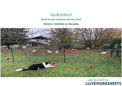 Palabras que empiezan por -hue, -hie