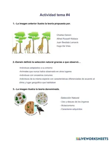 Vacacional (tema -4)