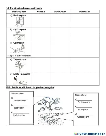 The stimulus and responses in plants