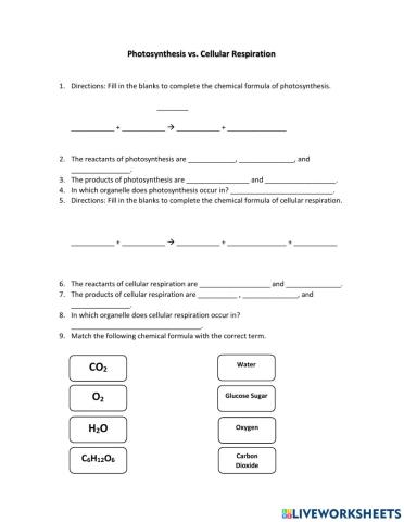 Photosynthesis vs. Cellular Respiration