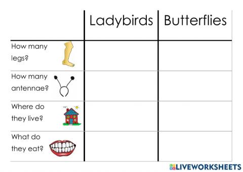Ladybirds vs Butterflies