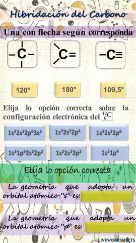Hibridación del Carbono