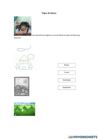 tipos de líneas