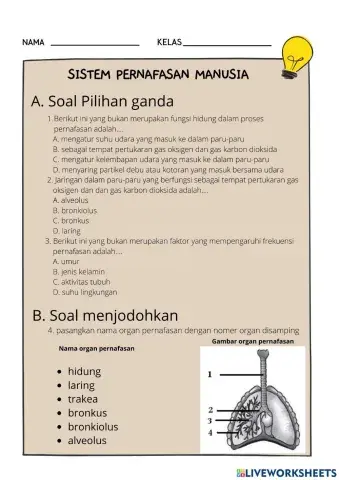 LK pernafasan manusia