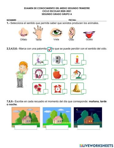 Conocimiento del medio evaluación 2° trimestre 2°A