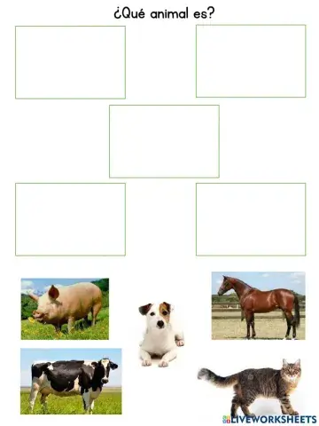 ¿Qué animal es?