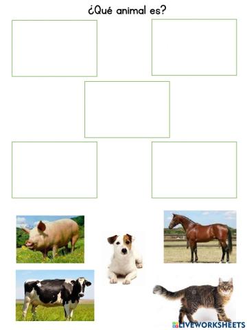 ¿Qué animal es?