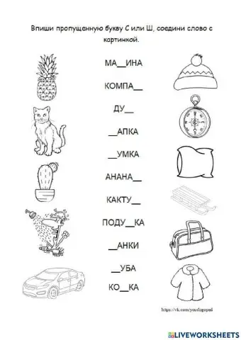 Дифференциация С-Ш