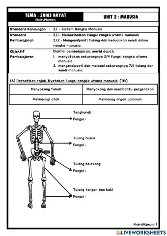 Tahun 5 Unit 2 : Manusia