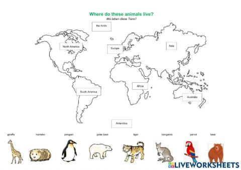 Where do these animals live?