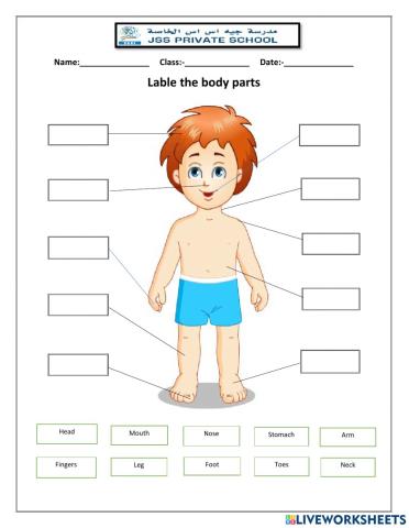 Label the Parts of body