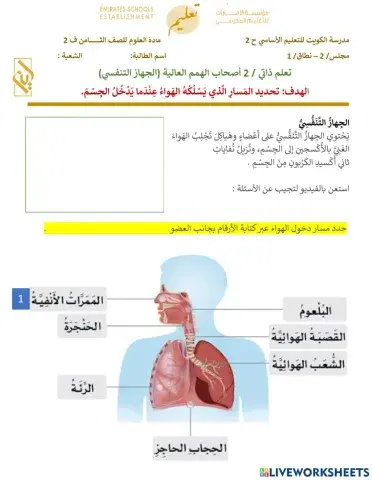 تعلم ذاتي - اصحاب الهمم - الجهاز التنفسي - الجزء الثانيy