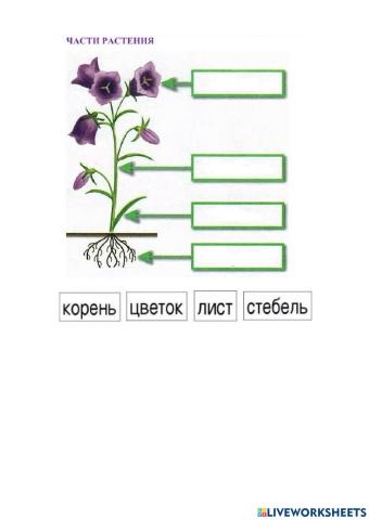 Начальная школа