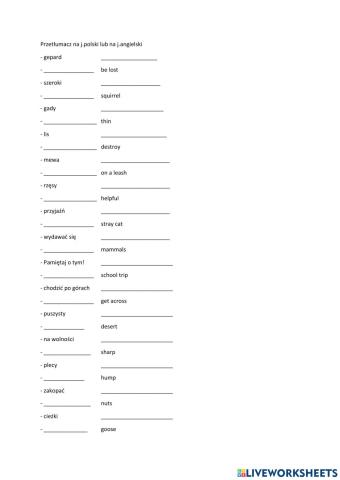 English vocabulary