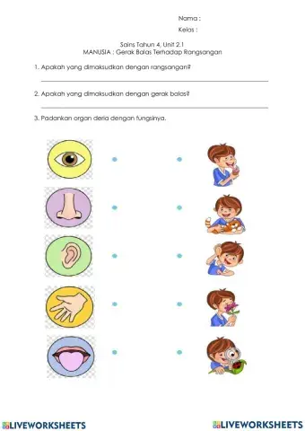 2.1 gerak balas terhadap rangsangan