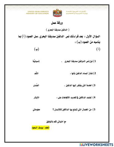 الدلفين صديقنا البحري