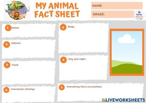 Fact file about animals