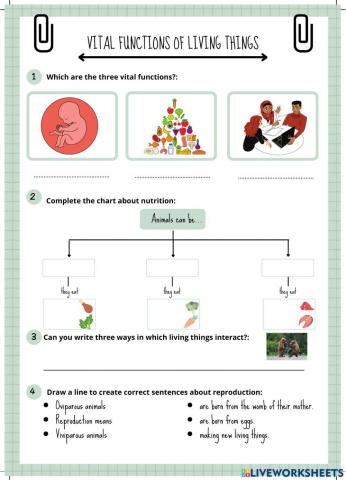 Vital functions of living things